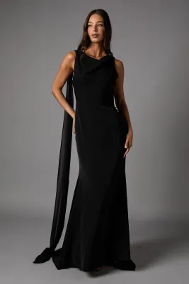 Coast Chiffon Detail Cowl Back Crepe Maxi Dress
