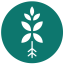 Bloombox Club
