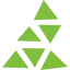 Cedar Tree Insurance