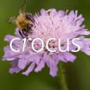 Crocus discount codes