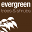 Evergreen Direct