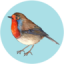 Garden Bird