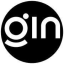 GIN X eBike
