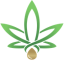 Hemp Point CBD