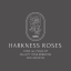 Harkness Roses