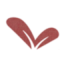 Lavishway discount codes