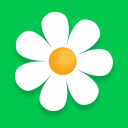 Myflowers discount codes