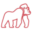 Red Gorilla International