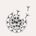 Wilder Botanics discount codes