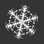 Winternational