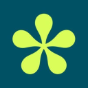 Wype discount codes